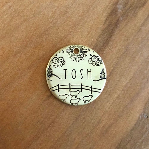 Apple Pet ID Tag Custom Dog or Cat Pet ID Tag Handmade Etsy