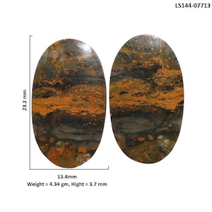 May include: Two oval-shaped cabochons with a mottled pattern of brown, black, and orange. The stones measure 23.2 mm in height, 13.4 mm in width, and 3.7 mm in thickness, with a weight of 4.34 grams. The image includes the text LS144-07713.