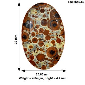 May include: An oval-shaped cabochon gemstone featuring a spotted pattern of brown, tan, and cream colours. The stone measures 32 mm by 20.65 mm, with a height of 4.7 mm and a weight of 4.64 grams. The item is labelled with the code LS03615-62.