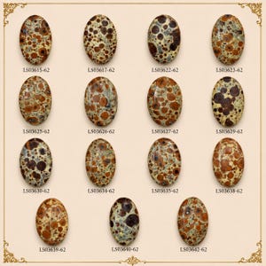 May include: A collection of fifteen oval-shaped cabochons featuring a spotted pattern in shades of brown, tan, and cream. Each stone is labeled with a unique alphanumeric code, such as LS03615-62, arranged in a grid on a light beige background.