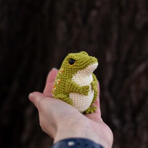 Puede incluir: Una rana de ganchillo hecha a mano en tonos verdes y crema, con detalles en naranja. La rana tiene ojos negros y se sostiene en una mano abierta. La rana es un art&iacute;culo artesanal caprichoso.