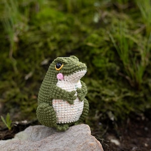 Puede incluir: Una rana de ganchillo hecha a mano en tonos verdes y blancos, sentada sobre una roca. La rana tiene ojos negros, una mejilla rosa y se abraza a s&iacute; misma. El fondo es follaje verde borroso.