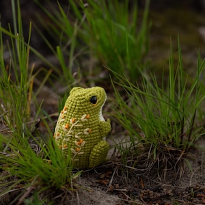 Puede incluir: Una rana verde hecha a mano con ganchillo, con ojos negros y bordados florales naranjas. La rana est&aacute; sentada en la hierba y la arena, rodeada de hojas de hierba verde. Es un art&iacute;culo artesanal caprichoso.