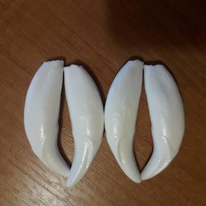 May include: Four white, curved, tooth-like objects, possibly animal teeth, arranged in a pair of two, on a wooden surface.
