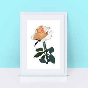 Rose Flower, Orange Flower Printable, Digital Print, Floral Wall Art ...