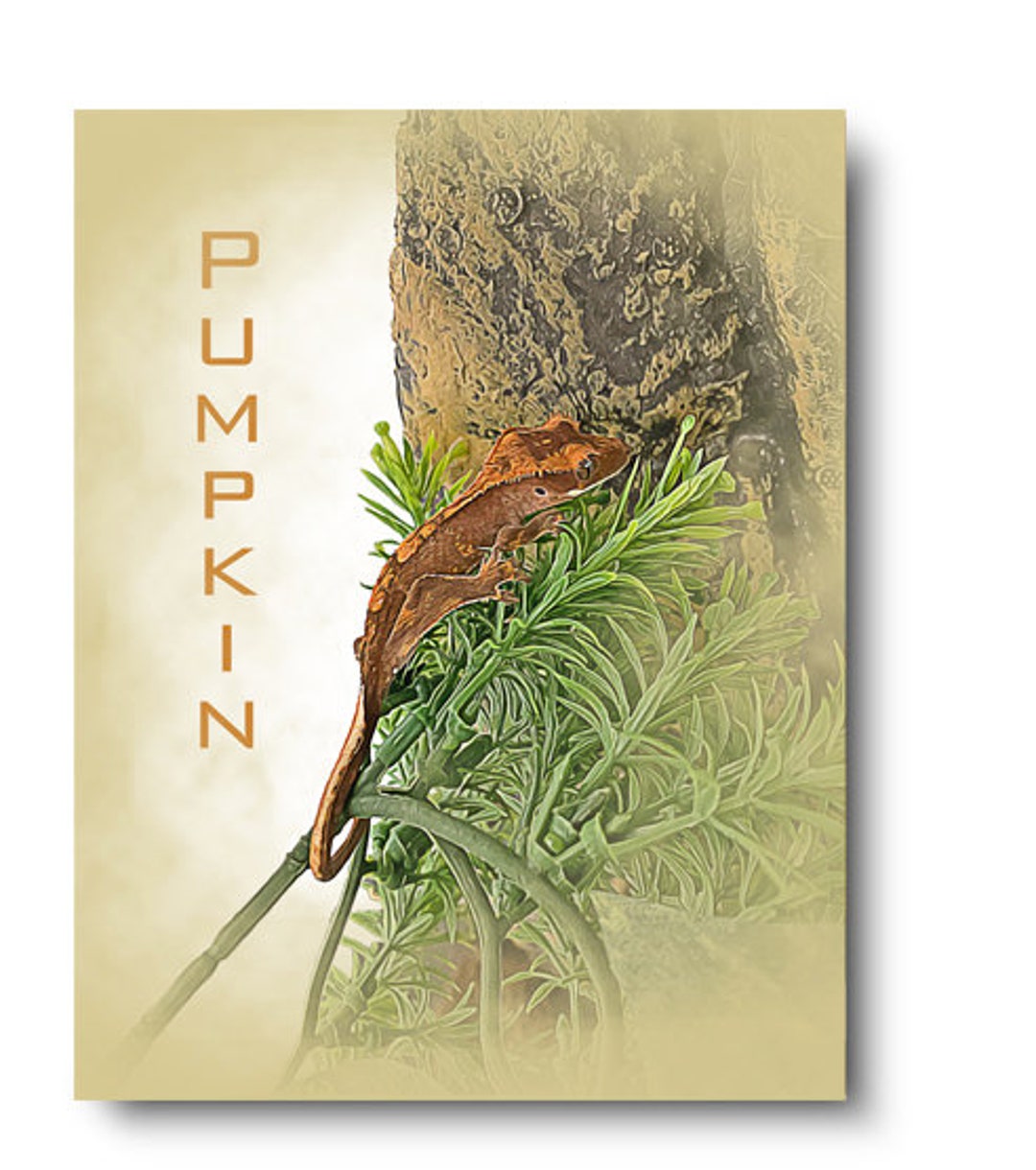 Custom Rolled Canvas Print Rolled Canvas Painting Rolled Etsy