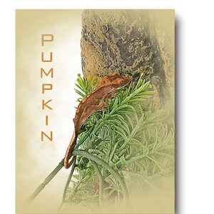Add On- Rolled Canvas Print, Rolled Canvas Painting, Rolled Canvas Art, Canvas Photo Print, Canvas Poster, Canvas Portrait from Photo,Custom