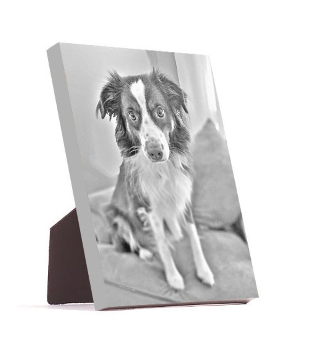 Custom Easel Back Canvas Canvas With Easel Easel Stand Desk Etsy