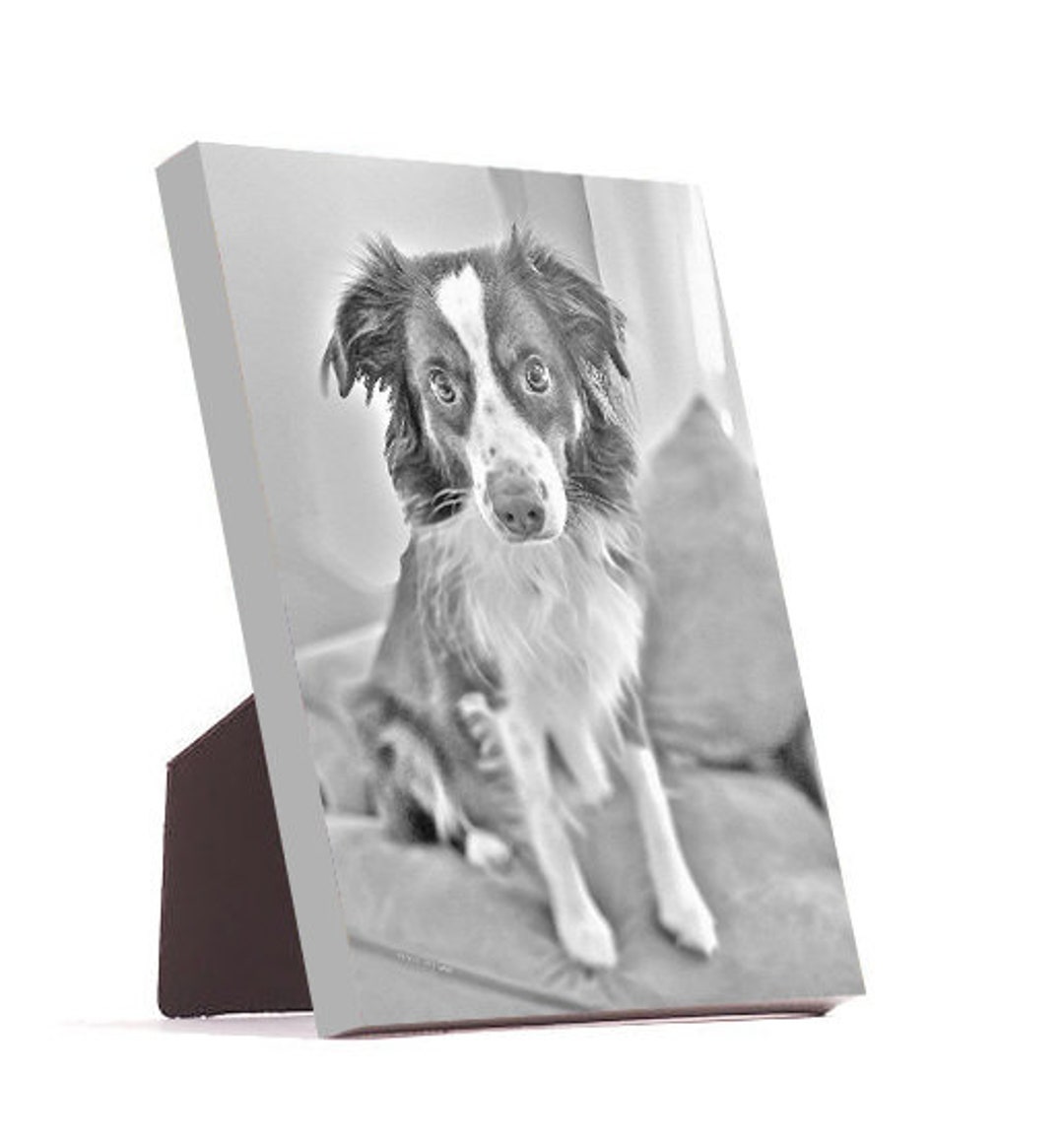 Add On Easel Back Canvas, Canvas With Easel, Easel Stand, Desk Canvas