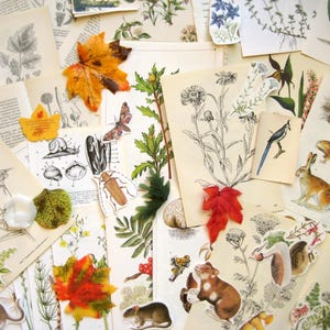 Vintage Junk Journal Bastelkit Natur Ephemera Pflanzen Tiere Journaling Scrapbooking  80+ Stück
