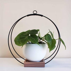 May include: A white, spherical planter with green leafy plants, set in a black metal hanging frame. The planter sits on a small, square wooden base. The frame has a circular design with a loop at the top for hanging.