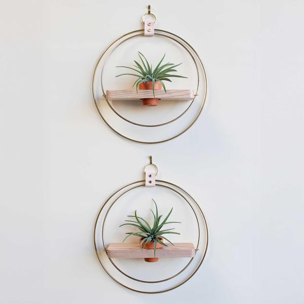 Modern Air Plant Shelf Duo, Steel, Wood, Leather Planter Wall Decor