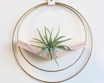 May include: A modern air plant holder featuring a gold metal ring design. The holder includes a light pink wooden shelf to cradle the plant, and a small green air plant. A pink leather strap and gold hook are used for hanging.