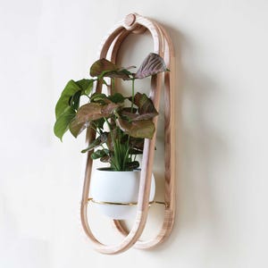 Modern Wall Mounted Planter - The Frame Wall Planter & Pot, Modern Home Decor, Wall Mounted Home Decor Accessories, Oblong Planter