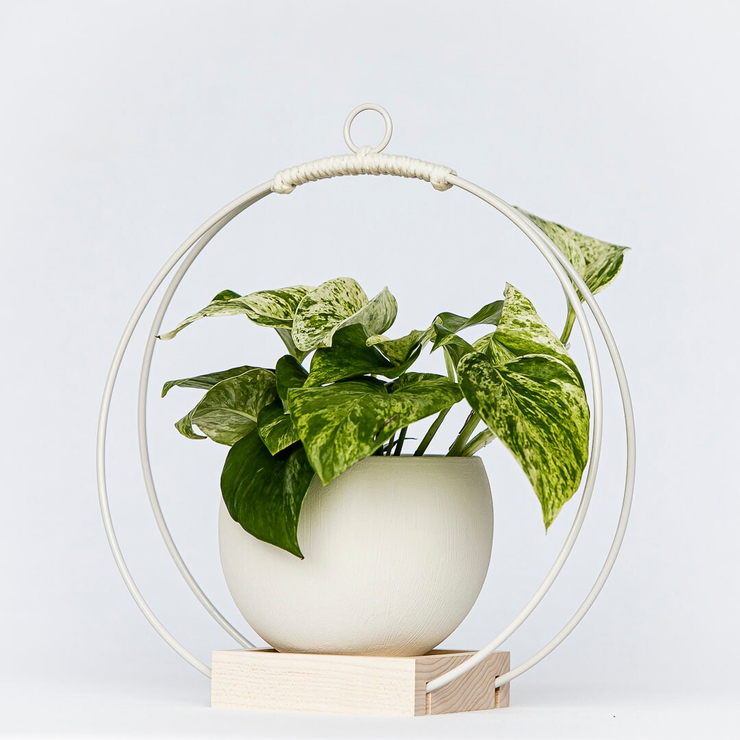Pflanzenhänger Hängender Überhänger Moderner Pflanzenhänger | Etsy