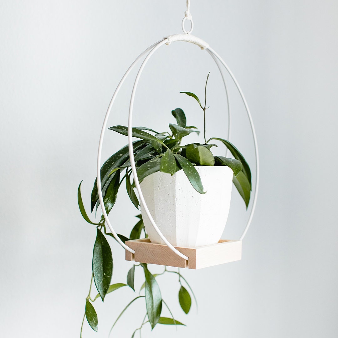 Pflanzenhänger Hängender Überhänger Moderner Pflanzenhänger | Etsy