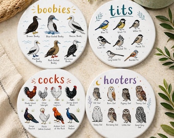 Funny Whimsical Birds Collection Chickens Owls Coasters Set of 4 Absorbent Ceramic