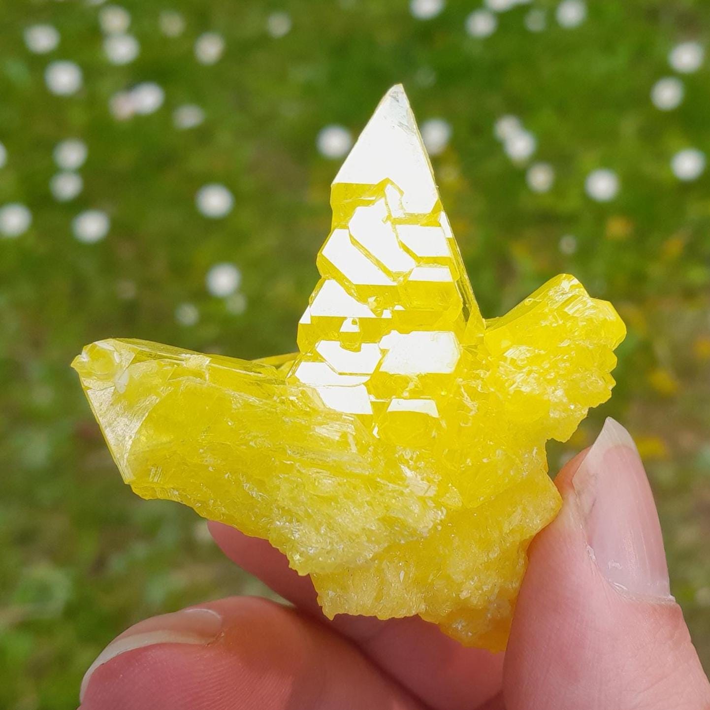 小さな硫黄結晶、硫黄クラスター、原石硫黄、エネルギーストーン、装飾