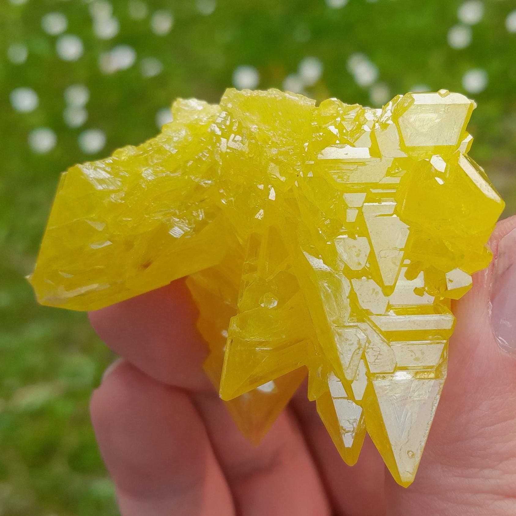 小さな硫黄結晶、硫黄クラスター、原石硫黄、エネルギーストーン、装飾