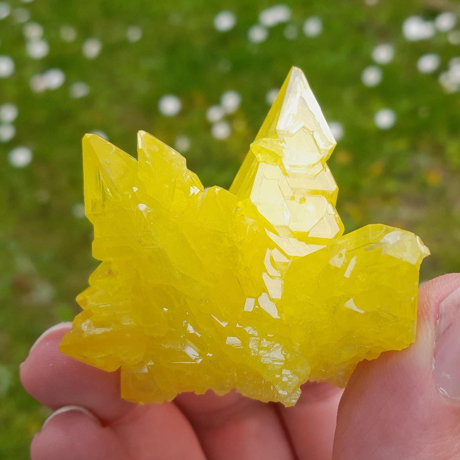 小さな硫黄結晶、硫黄クラスター、原石硫黄、エネルギーストーン、装飾