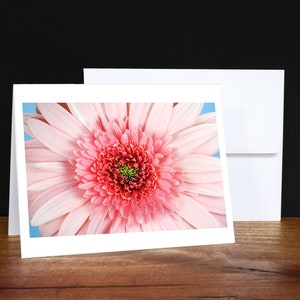 Gerber, Floral, Cartes de vœux, Cartes de notes, Cartes de toute occasion