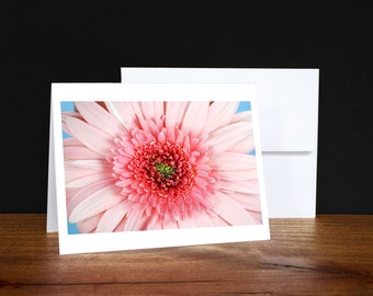 Gerber, Floral, Greeting Cards, Note Cards, Any Occasion Cards