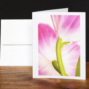 Tulipán, tarjetas de felicitación, tarjetas de notas, tarjetas para cualquier ocasión, rosa