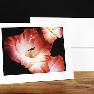 Gladiola Tarjetas de felicitación, Tarjetas de notas, Tarjetas para cualquier ocasión, Rojo