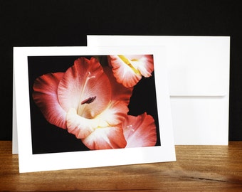 Gladiola Greeting Cards, Note Cards, Any Occasion Cards, Red