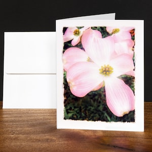 Tarjetas de felicitación de cornejo, tarjetas de notas, tarjetas de cualquier ocasión, rosa, variedad india