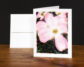 Dogwood Greeting Cards, Note Cards, Any Occasion Cards, Pink, Indian Variety