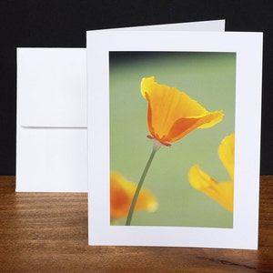 Poppy, Greeting Cards, Note Cards, Any Occasion Cards image 1