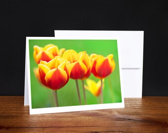 Tulips Greeting Cards, Note Cards , Any Occasion Cards, Red and Yellow