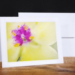 Moth Mullen Tarjetas de felicitación, Tarjetas de notas, Tarjetas de cualquier ocasión, Amarillo