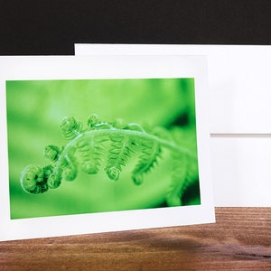 Cartes de vœux Fern, Cartes de notes, Cartes d’occasion, Vert