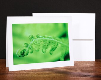 Fern Greeting Cards, Note Cards, Any Occasion Cards, Green