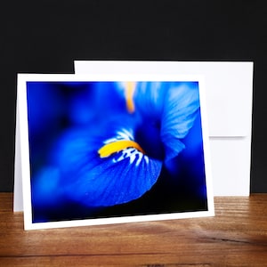 Tarjetas de felicitación de iris holandés, tarjetas de notas, tarjetas de cualquier ocasión, azul