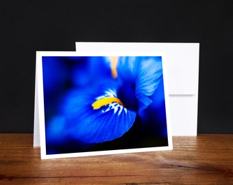 Dutch Iris Greeting Cards, Note Cards, Any Occasion Cards, Blue