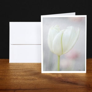 Tarjetas de felicitación de tulipán blanco, tarjetas de notas, tarjetas de cualquier ocasión