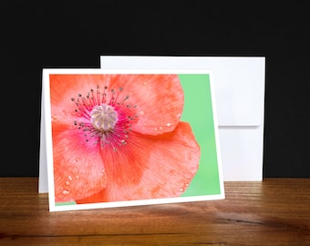 Poppy, Red, Greeting Cards, Note Cards, Any Occasion Cards