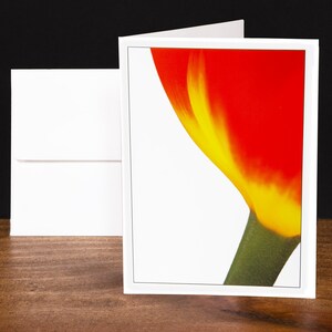 Tulpe, Grußkarten, Notizkarten, Jede Gelegenheitskarte