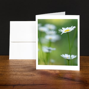 Tarjetas de felicitación Daisy, Tarjetas de notas, Tarjetas para cualquier ocasión, Blanco