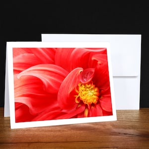 Peonía, tarjetas de felicitación, tarjetas de notas, tarjetas para cualquier ocasión