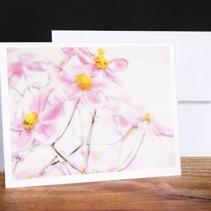 Anémona, Tarjetas de felicitación, Tarjetas de notas, Tarjetas para cualquier ocasión, Rosa
