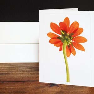 Sonnenblumen, Grußkarten, Notizkarten, Jede Gelegenheitskarte, Orange