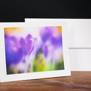 Crocus, tarjetas de felicitación, tarjetas de notas, tarjetas para cualquier ocasión, púrpura