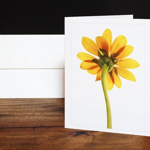 Cartes de vœux de tournesol, cartes de notes, cartes de toute occasion, jaune