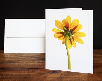 Sunflower Greeting Cards, Note Cards, Any Occasion Cards, Yellow