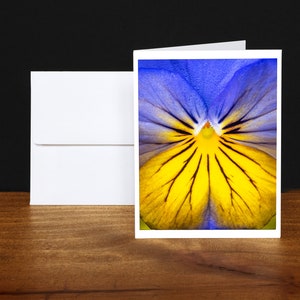 Purple Pansy Greeting Cards, Note Cards, Any Occasion Cards, Blue, Yellow image 1