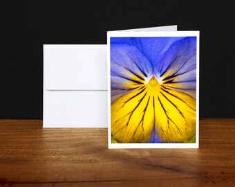 Purple Pansy Greeting Cards, Note Cards, Any Occasion Cards, Blue, Yellow